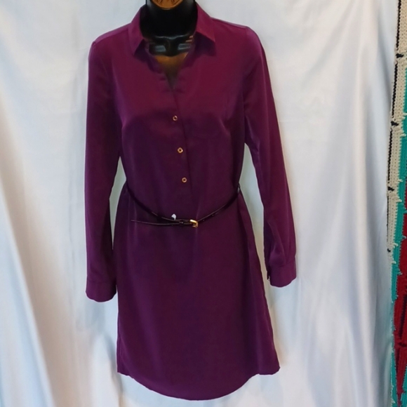 The Limited Shirt Dress, belted,  purple - Picture 1 of 7